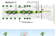 Carson Street Project Picture