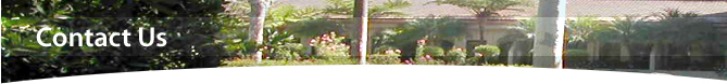 Picture of Contact Us