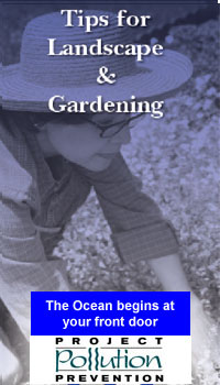 Landscape and Gardening Tips