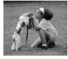 Pet Care Tips - Flea Control