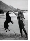 Pet Care Tips - Flea Control 