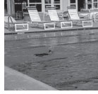Pool Maint. Tips