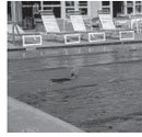 Pool Maintenace Tips
