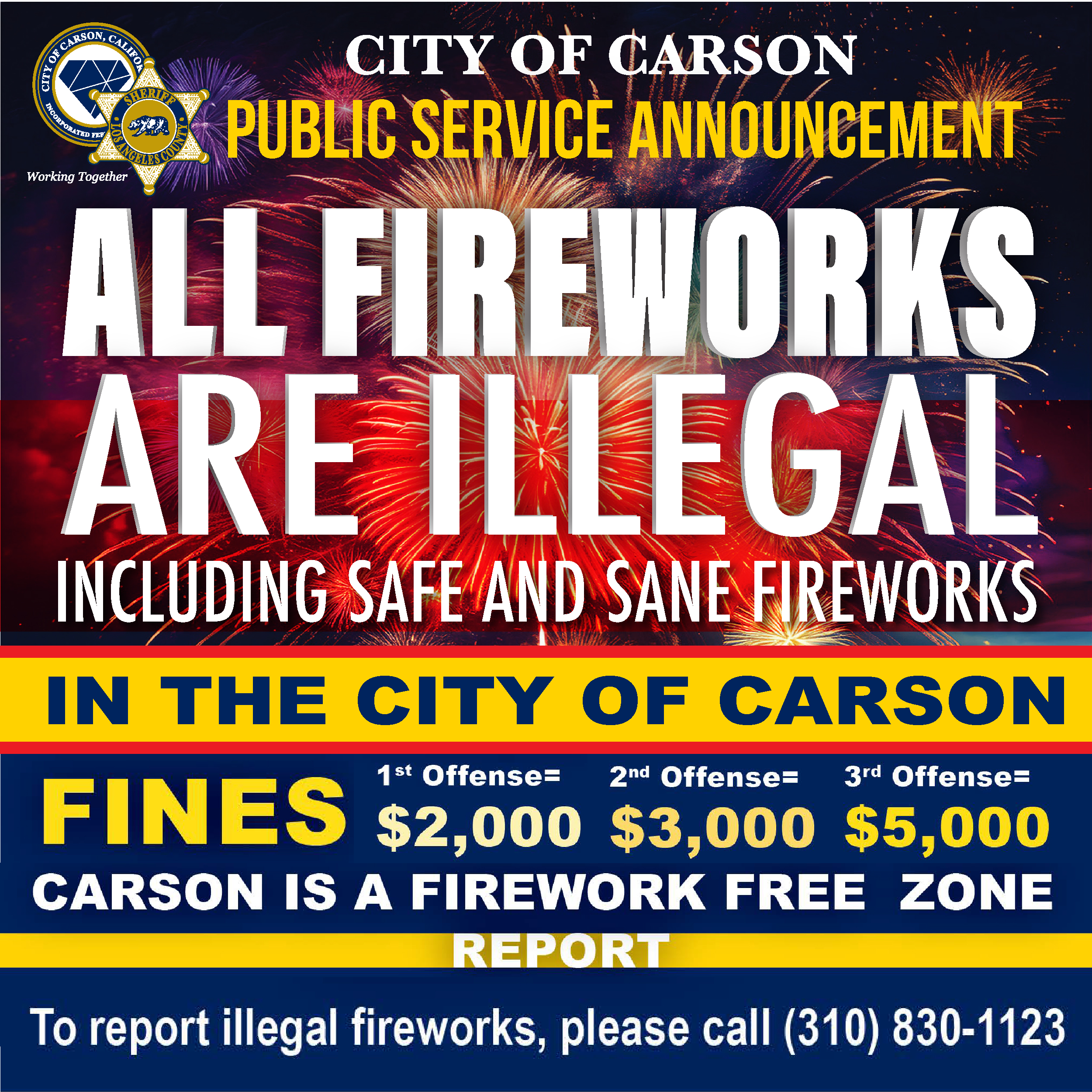 Firework Fines